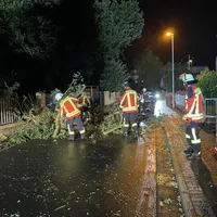 IMG_1071.jpeg