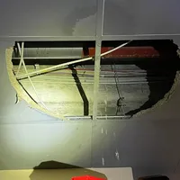 IMG_1074.jpeg